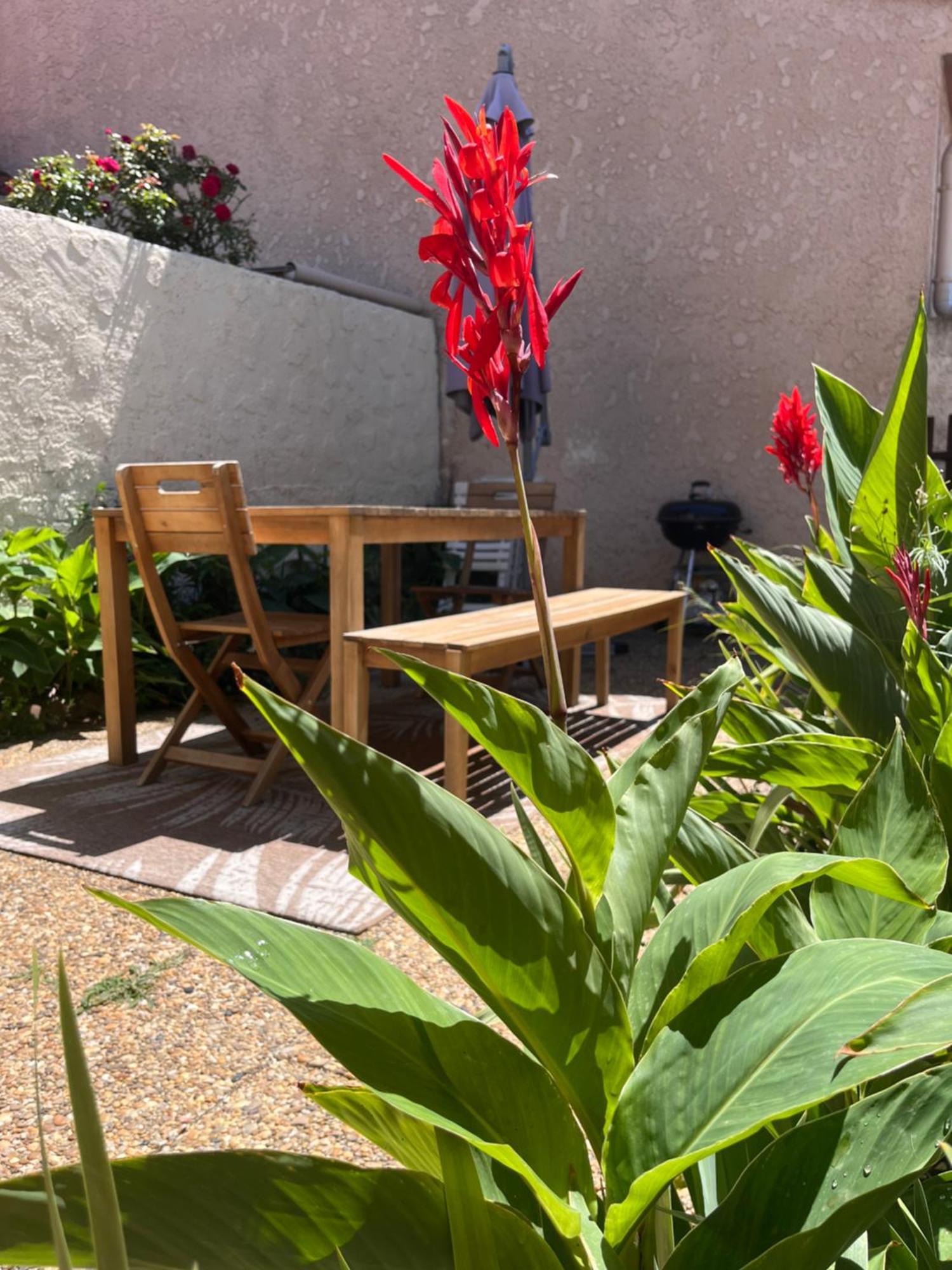 Maison Climatisatee 2 Exterieur Barbecue Parking Gratuit 600m * Saint-Cyprien (Pyrenees-Orientales)